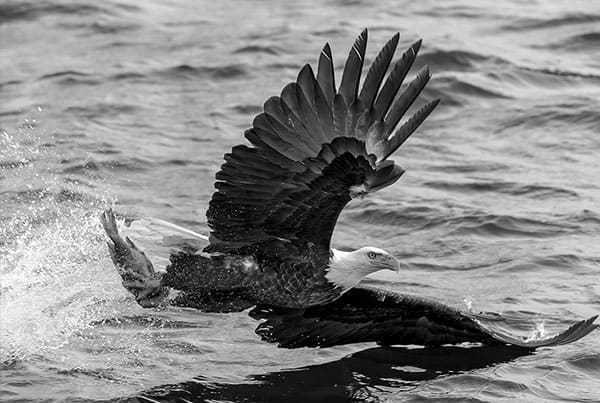 Home blog10 free img